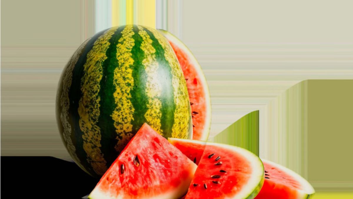 naidunia_image
